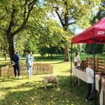 Uczestnicy pikniku w parku pałacowym w Falentach, po prawej fragment namiotu wystawcy